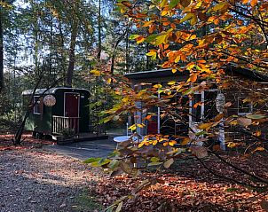 Unterkunft 322108 - Ferienhaus Veluwe - Huisje in Wezep
