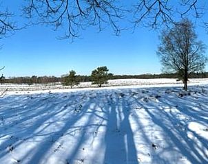 Unterkunft 322108 - Ferienhaus Veluwe - Huisje in Wezep