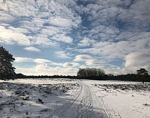 Unterkunft 322108 - Ferienhaus Veluwe - Huisje in Wezep