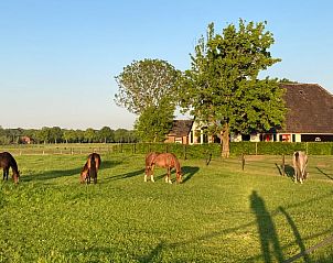 Unterkunft 322109 - Ferienhaus Veluwe - Vakantiehuis in Wezep
