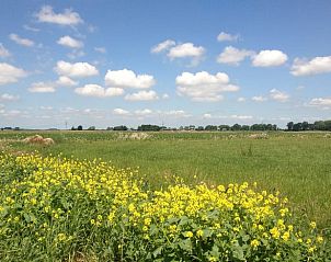Unterkunft 322109 - Ferienhaus Veluwe - Vakantiehuis in Wezep
