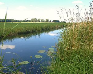 Unterkunft 322109 - Ferienhaus Veluwe - Vakantiehuis in Wezep