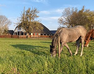 Unterkunft 322110 - Ferienhaus Veluwe - Vakantiehuisje in Wezep Oldebroek