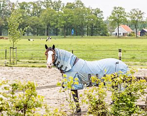 Unterkunft 322118 - Ferienhaus Veluwe - DG1461