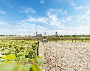Unterkunft 322118 - Ferienhaus Veluwe - DG1461
