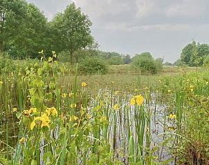 Nature rich landscape around Cottage in Voorthuizen, vacation home in Veluwe, Gelderland.