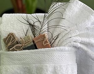 Luxury towels and soap in Holiday home in Voorthuizen, Veluwe, for a spa experience.