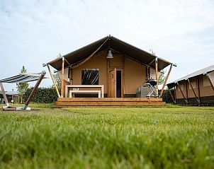 Unterkunft 3222110 • Zelthaus Veluwe • Nomad 