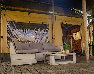 Guest house 3222111 - Tent house Veluwe - luxe Safarilodge