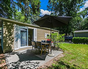 Guest house 3222114 • Chalet Veluwe • Chalet in hartje Veluwe 