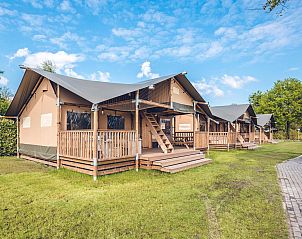 Unterkunft 3222120 - Zelthaus Veluwe - Safaritent 'Edelhert'