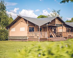 Unterkunft 3222120 - Zelthaus Veluwe - Safaritent 'Edelhert'