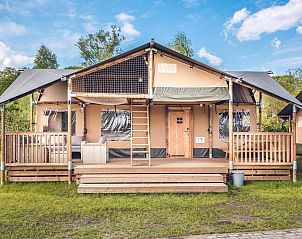 Unterkunft 3222120 - Zelthaus Veluwe - Safaritent 'Edelhert'