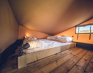 Unterkunft 3222120 - Zelthaus Veluwe - Safaritent 'Edelhert'