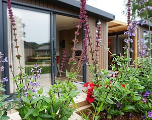 Verblijf 3222131 - Vakantiewoning Veluwe - Hotellodge