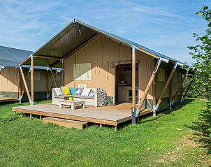 Guest house 3222134 • Tent house Veluwe • Luxe safaritent 