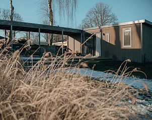 Unterkunft 3222140 - Ferienhaus Veluwe - Familielodge