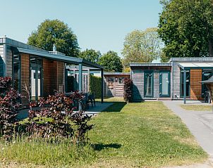Unterkunft 3222141 - Ferienhaus Veluwe - Veluwe Villa + sauna