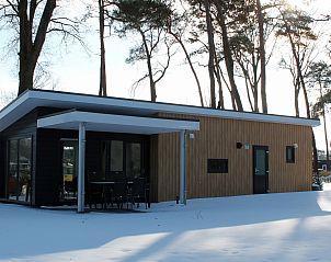 Guest house 3222143 - Holiday property Veluwe - Bosvilla