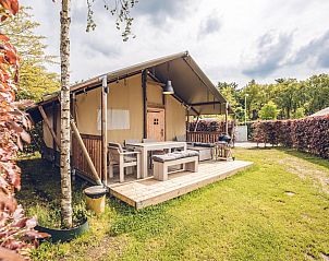 Unterkunft 3222161 - Zelthaus Veluwe - Safaritent 'Vos'