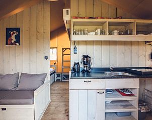 Unterkunft 3222161 - Zelthaus Veluwe - Safaritent 'Vos'