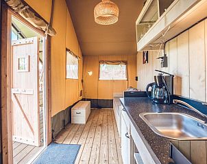 Unterkunft 3222161 - Zelthaus Veluwe - Safaritent 'Vos'