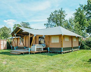Guest house 3222162 - Tent house Veluwe - Safari Villa