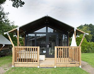 Guest house 3222167 • Tent house Veluwe • Tiny Safari House 