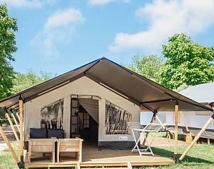 Verblijf 3222184 - Tenthuis Veluwe - Safaritent Basic