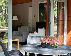 Cozy sitting area and terrace of cottage in Voorthuizen, Veluwe, Gelderland, overlooking green nature.