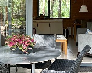 Guest house 322219 - Holiday property Veluwe - Vakantiehuisje in Voorthuizen