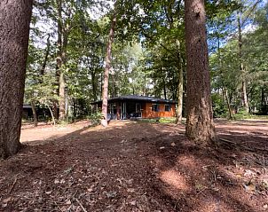 Guest house 322219 - Holiday property Veluwe - Vakantiehuisje in Voorthuizen