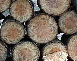 Guest house 322219 - Holiday property Veluwe - Vakantiehuisje in Voorthuizen