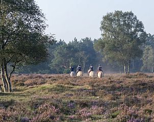 Guest house 322219 - Holiday property Veluwe - Vakantiehuisje in Voorthuizen