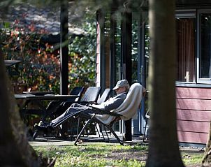 Unterkunft 322220 - Ferienhaus Veluwe - Vakantiehuis in Voorthuizen