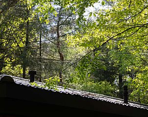 Unterkunft 322220 - Ferienhaus Veluwe - Vakantiehuis in Voorthuizen