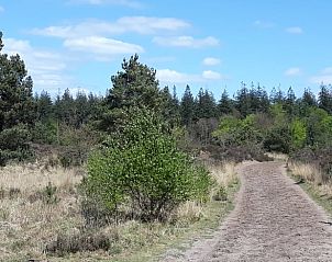 Unterkunft 322220 - Ferienhaus Veluwe - Vakantiehuis in Voorthuizen