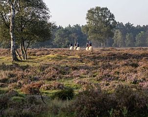 Unterkunft 322220 - Ferienhaus Veluwe - Vakantiehuis in Voorthuizen