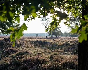 Unterkunft 322220 - Ferienhaus Veluwe - Vakantiehuis in Voorthuizen