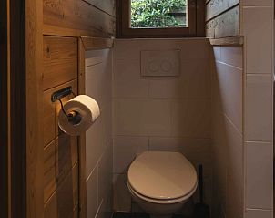 Gezellige badkamer in Vakantiehuis de Blokhut, Voorthuizen, Veluwe, met houten wanden en een rustgevend uitzicht op de natuur.