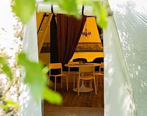 Unterkunft 3222227 - Zelthaus Veluwe - Jippi Tipi