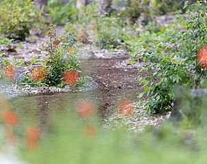 Unterkunft 322228 - Ferienhaus Veluwe - Vakantiehuis in Voorthuizen