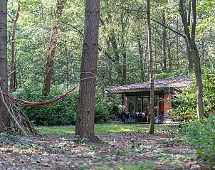 Unterkunft 322228 - Ferienhaus Veluwe - Vakantiehuis in Voorthuizen