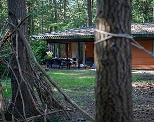 Unterkunft 322228 - Ferienhaus Veluwe - Vakantiehuis in Voorthuizen