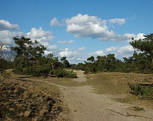 Verblijf 322276 - Vakantiewoning Veluwe - Landgoed De IJsvogel 6