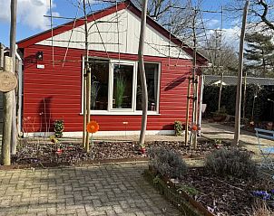 Verblijf 322282 - Vakantiewoning Veluwe - Eekhoorn