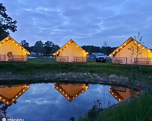 Verblijf 322292 - Vakantiewoning Veluwe - Safaritent