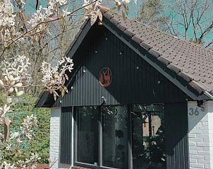 Verblijf 322295 - Vakantiewoning Veluwe - Oudveluwe - vakantiehuisje - bos