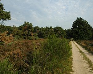 Verblijf 322298 - Vakantiewoning Veluwe - Landgoed De IJsvogel 6
