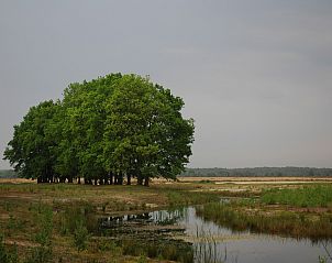 Verblijf 322298 - Vakantiewoning Veluwe - Landgoed De IJsvogel 6